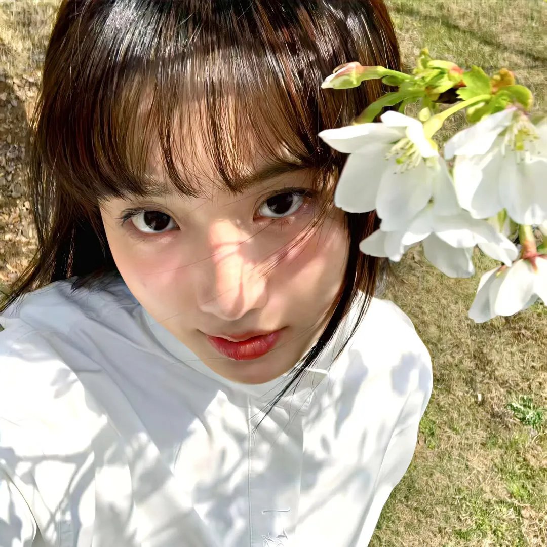 花火